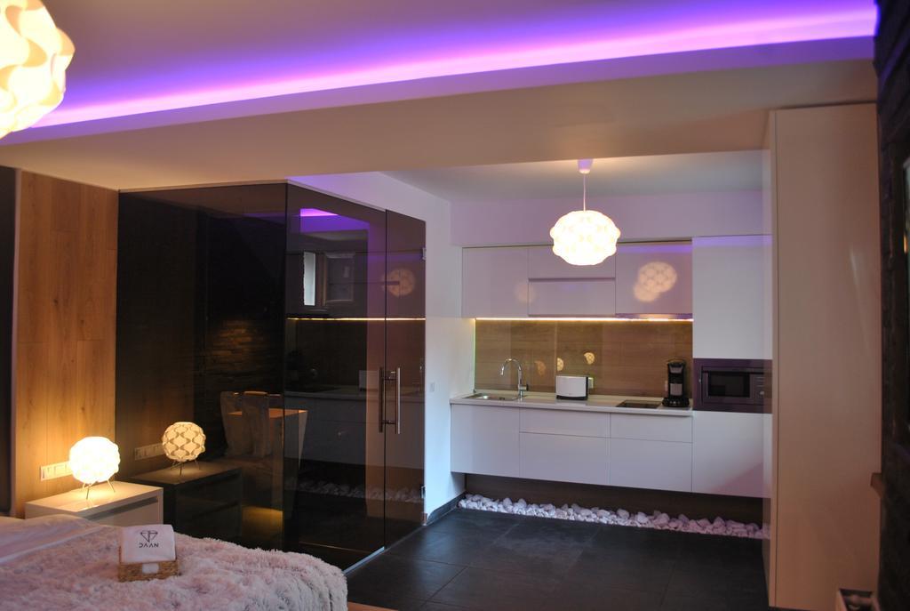 Daan Apartments Cluj-Napoca Rum bild